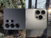 Smartphone photo comparison: In the Bavarian Forest National Park with two of the best camera phones in 2025