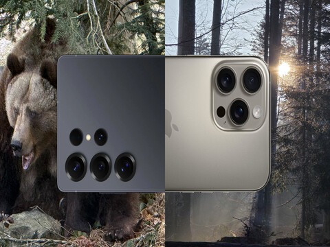 Smartphone photo comparison: In the Bavarian Forest National Park with two of the best camera phones in 2025