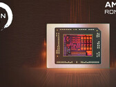 AMD RDNA 3.5 iGPU Radeon 890M shown to deliver close performance against Nvidia RTX 2050 (Image source: AMD [edited])