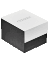 Citizen watch box