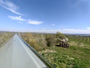 OnePlus 13 - 0.5x zoom (ultra wide angle)