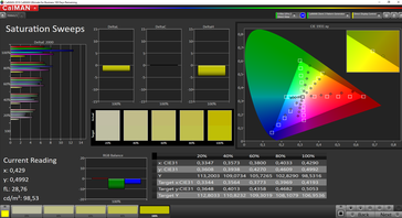 CalMAN - Saturation (calibrated)