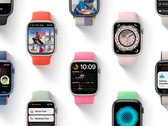 The Apple Watch. (Source: Apple)