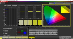 CalMAN saturation (target color space P3)