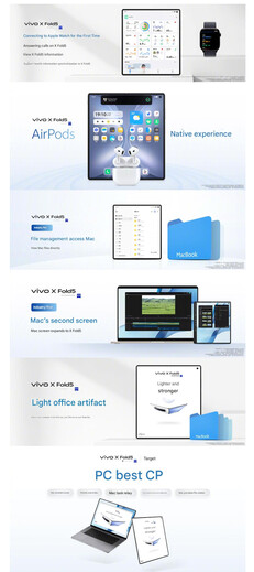 (Image source: Vivo - machine translated)