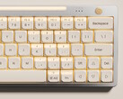 Nics Tek Hesper64(100) keyboard with dual-action keys: Additional details revealed. (Image source: Nics Tek)