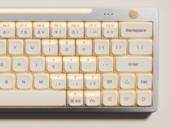 Nics Tek Hesper64(100) keyboard with dual-action keys: Additional details revealed. (Image source: Nics Tek)