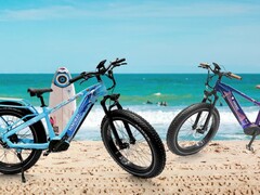 New limited edition California and Florida versions of the Himiway Zebra fat-tire e-bike have been revealed. (Image source: Himiway)