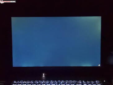 small amount of backlight bleeding (shown stronger here)