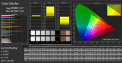 CalMAN - Color Checker (after calibration)