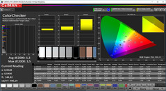 CalMAN ColorChecker (target color space P3)