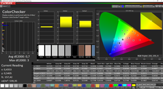 CalMAN ColorChecker calibrated (target color space P3)