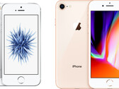 Is this how the iPhone SE line will evolve? (Source: MacRumors)