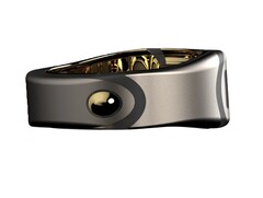 What the &quot;Bond Ring&quot; is supposed to look like. (Image source: Bond Ring)