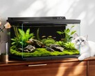 The Dangbei Smart Fish Tank 2S Ultra will launch in China on April 26, 2026.