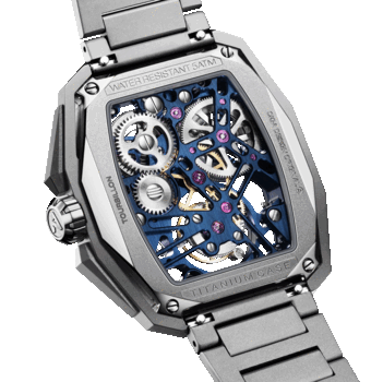 Hunter Tourbillon watch bottom