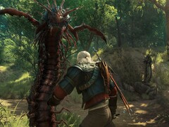 Image from the game The Witcher 3: Wild Hunt - Blood and Wine. (Image source: Steam)
