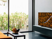 LG's 2020 OLED TVs are now available. (Source: LG)
