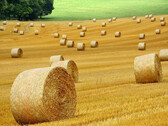 The more, the better is not always right - even in agriculture. (Image: pixabay/ybernardi)