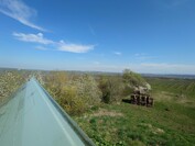 Sony Xperia 1 VI - 0.5x zoom (ultra wide angle)