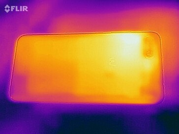 Heatmap rear