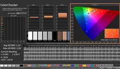 CalMAN: ColorChecker (calibrated)