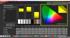 CalMAN ColorChecker calibrated (target color space P3)