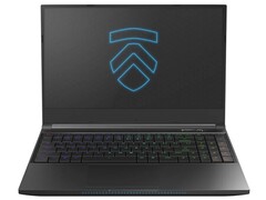 Eluktronics &quot;Covert Gamer&quot; laptops will offer Comet Lake-H CPUs, GeForce Super GPUs, and a logo-free outer lid (Source: Eluktronics)