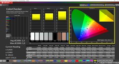 CalMAN ColorChecker (profile: Native, target color space: P3)