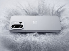 The OnePlus 13T contains quite a few downgrades compared to the larger OnePlus 13. (Image source: OnePlus)