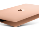 The 12-inch MacBook only scores a fresh coat of paint. (Source: Apple)