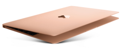The 12-inch MacBook only scores a fresh coat of paint. (Source: Apple)