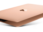 The 12-inch MacBook only scores a fresh coat of paint. (Source: Apple)