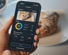 The Zepp app Food Log feature has arrived in Europe. (Image source: Amazfit)