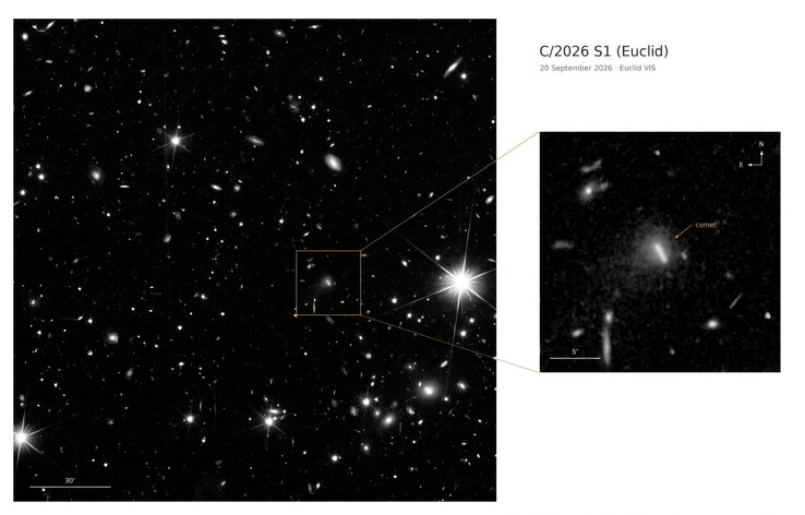 An image taken by Euclid showing the comet C/2026 S1 (Euclid).