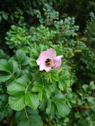 Photo taken using main camera