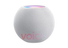 A &quot;white HomePod Mini&quot;. Source: Voice