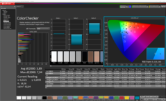 CalMAN - Color Checker (calibrated)