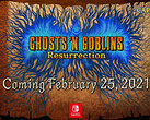 Ghosts 'n Goblins will frustrate Nintendo Switch gamers in February 2021. (Image via Capcom)