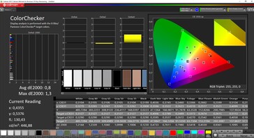 CalMAN ColorChecker (target color space DCI-P3)