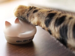 Radius unveils three new Neko HP-C28BT TWS cat-shaped earbud colors. (Image source: Radius)