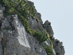 Sony Xperia 1 VI – 21x zoom