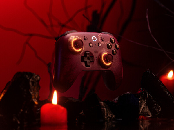 (Image source: 8BitDo)