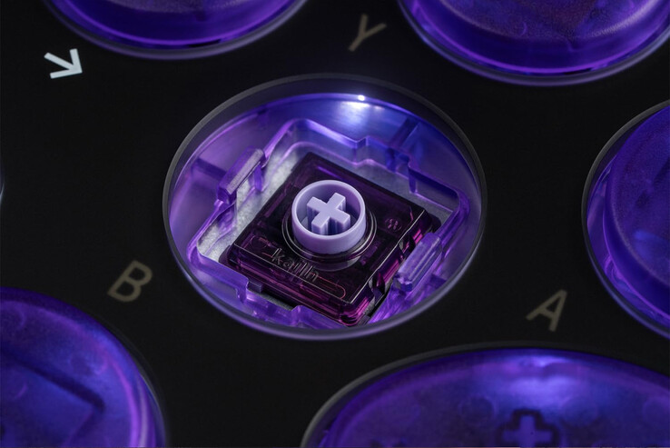 (Image source: 8BitDo)