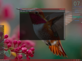 Debian-based Besgnulinux 4-0 now available
