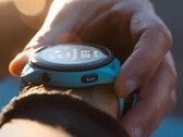 Many developers have reported a problem causing Garmin smartwatches to freeze or crash. (Image source: Garmin)