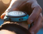 Many developers have reported a problem causing Garmin smartwatches to freeze or crash. (Image source: Garmin)