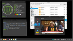 Linux with Cinnamon desktop under Wayland (Image: Linux Mint)