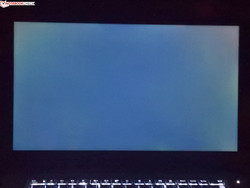 Minuscule amount of backlight bleeding (displayed amplified here)