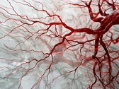 The new PAT-based tech can be used to capture quick, blur-free images of blood vessels for timely diagnosis. (Image source: Neuroscience News)